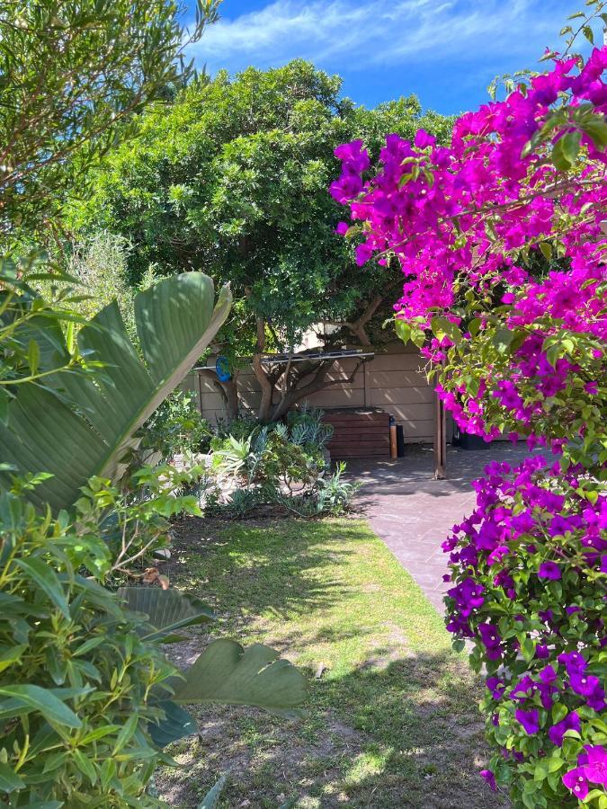 Sunset Beach Living Guesthouse Cape Town Exterior photo