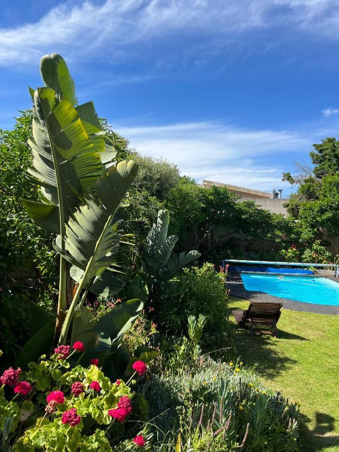 Sunset Beach Living Guesthouse Cape Town Exterior photo